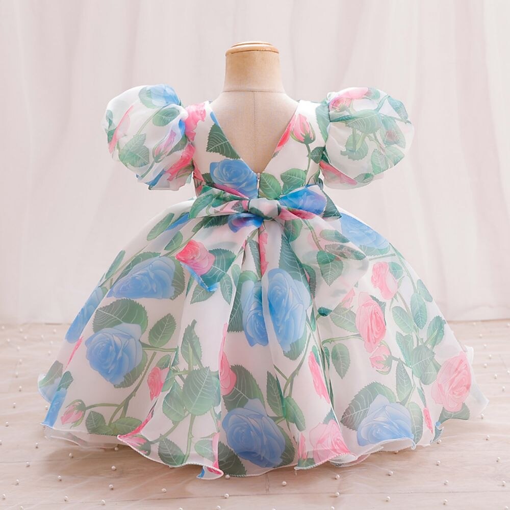 Tout-petit Fille Robe de Soirée Graphique Manche Courte Mariage Mignon Polyester Mi-long Été 3-7 Ans Multicouleur Rouge Vert de 2025 ? $38.99 –P2