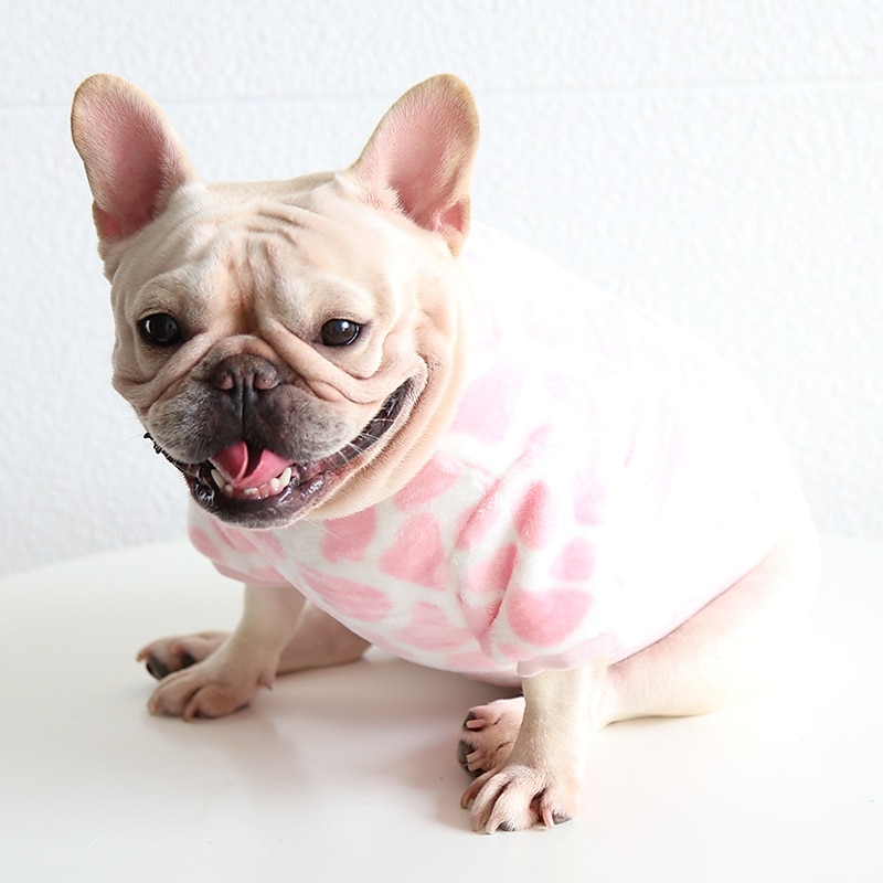 Hund Katt Tröja Pyjamas Mode söt stil Vinter Varm Mjuk Tvättbar Bekväm Utomhus Inomhus Ledigt / vardag Hundkläder for Bichon Frisé Pudel Pommeran valpen eller det lilla husdjuret Fjäril 2025 - $23.99 –P19