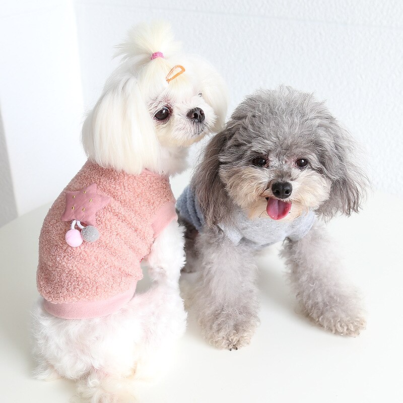 Dog Cat Sweatshirt Fashion Cute Winter Soft Washable Comfortable Outdoor Casual Daily Dog Clothing for Bichon Frise Poodle Pomeranian Baby Pet Papillon 2025 - $23.99 –P2