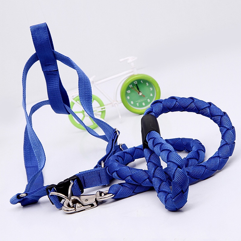 Pet Knitting Rope PP Ribbon Woven Round Dog Rope Dog Chest Strap Traction Rope Dog Rope ...