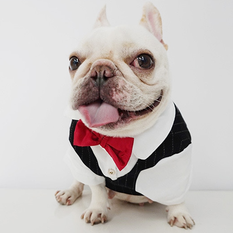 Prodotti per cani Prodotti per gatti Tuta Di tendenza stile sveglio Inverno Morbido Lavabile Comodo Matrimonio Esterno Feste Compleanno Ricevimento di matrimonio Abbigliamento per cani for Bichon del 2026 a $31.99 –P7