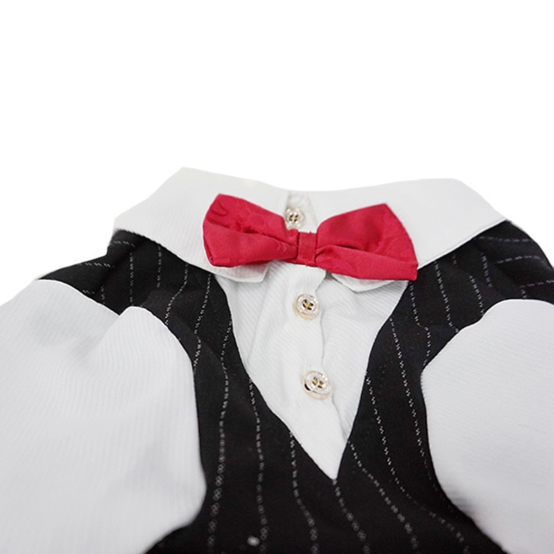 Prodotti per cani Prodotti per gatti Tuta Di tendenza stile sveglio Inverno Morbido Lavabile Comodo Matrimonio Esterno Feste Compleanno Ricevimento di matrimonio Abbigliamento per cani for Bichon del 2026 a $31.99 –P5