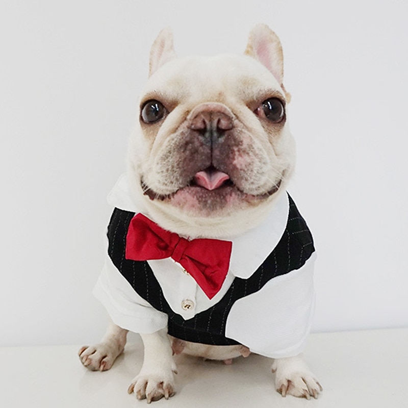 Prodotti per cani Prodotti per gatti Tuta Di tendenza stile sveglio Inverno Morbido Lavabile Comodo Matrimonio Esterno Feste Compleanno Ricevimento di matrimonio Abbigliamento per cani for Bichon del 2026 a $31.99 –P6