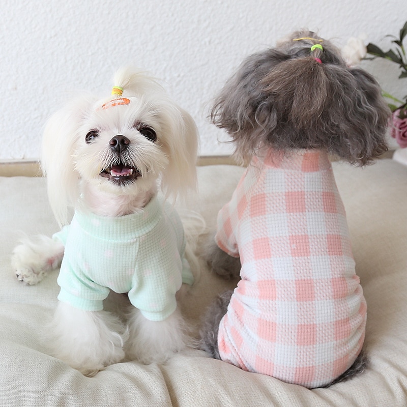 Hund Katt Pyjamas Mode söt stil Vinter Mjuk Tvättbar Bekväm Inomhus Ledigt / vardag Hundkläder for Bichon Frisé Pudel Pommeran valpen eller det lilla husdjuret Fjäril 2025 - $26.99 –P4