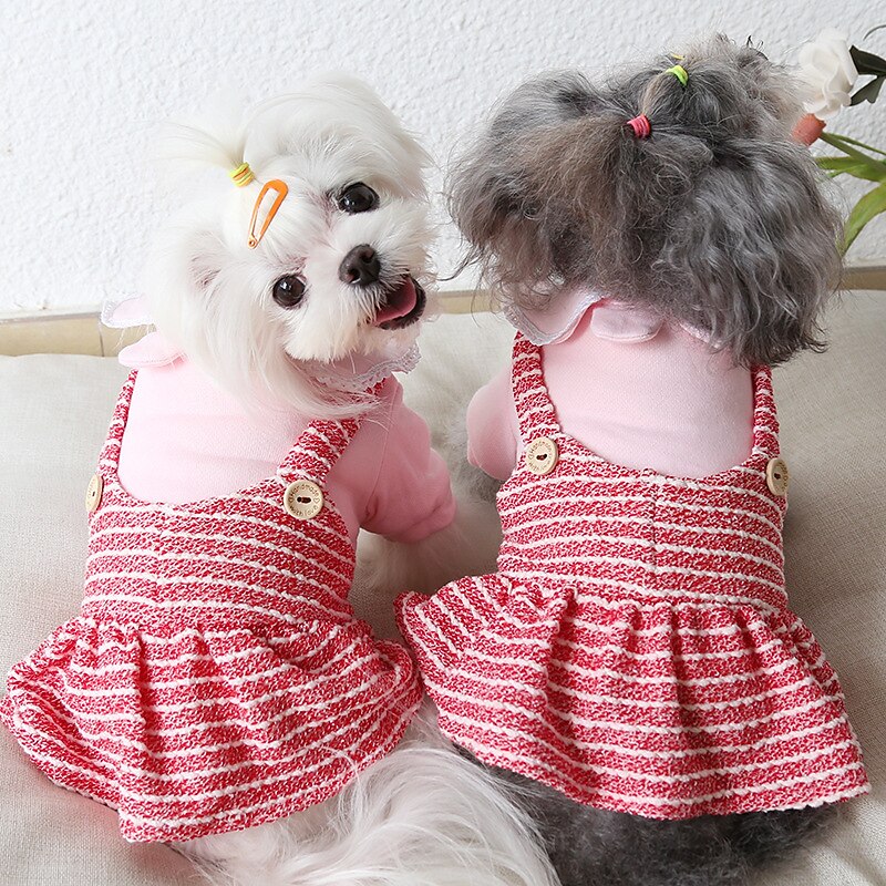 Cachorros Gatos Vestidos Moda Estilo bonito Inverno Macio Lavável Confortável Ao ar livre Casual / Diário Roupas para cães for Bichon Frise Poodle Pomerânia Animais de Pequeno Porte Borboleta de 2025 por $27.99 –P2