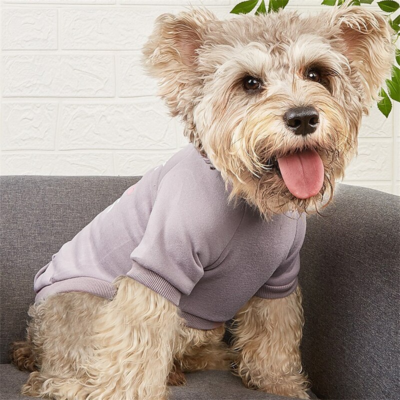 Chien Chat Pulls à capuche Mode Occasionnel Hiver Respirant Doux Lavable Confortable Noël Extérieur Décontracté Quotidien Vêtements pour Chiens for Bichon Frisé Spitz Nain Bébé Animal Papillon Petit de 2025 ? $23.99 –P10