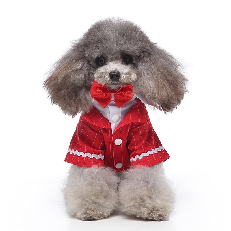 Dog Cat Suit Fashion Cute Winter Soft Washable Comfortable Wedding Outdoor Party Birthday Wedding Party Dog Clothing for Bichon Frise Poodle Pomeranian Baby Pet Papillon 2025 - $26.99 –P16