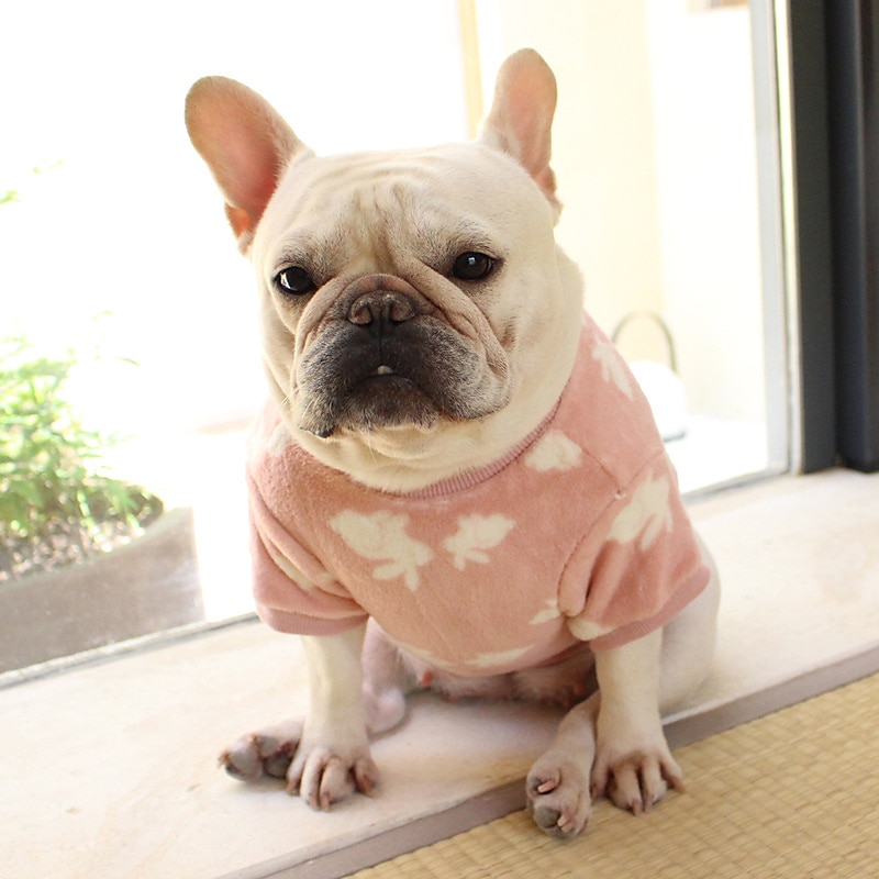 Hund Katt Tröja Pyjamas Mode söt stil Vinter Varm Mjuk Tvättbar Bekväm Utomhus Inomhus Ledigt / vardag Hundkläder for Bichon Frisé Pudel Pommeran valpen eller det lilla husdjuret Fjäril 2025 - $23.99 –P15