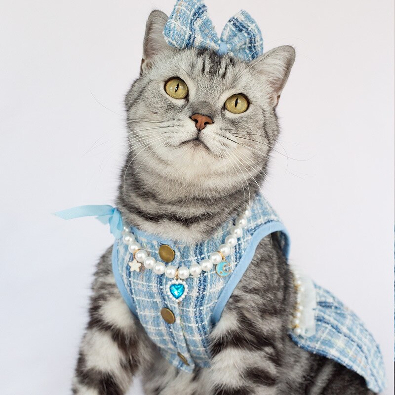 Cachorros Gatos Vestidos Moda Estilo bonito Inverno Macio Lavável Confortável Ao ar livre Festa Roupas para cães for Bichon Frise Poodle Pomerânia Animais de Pequeno Porte Borboleta de 2025 por $23.99 –P14