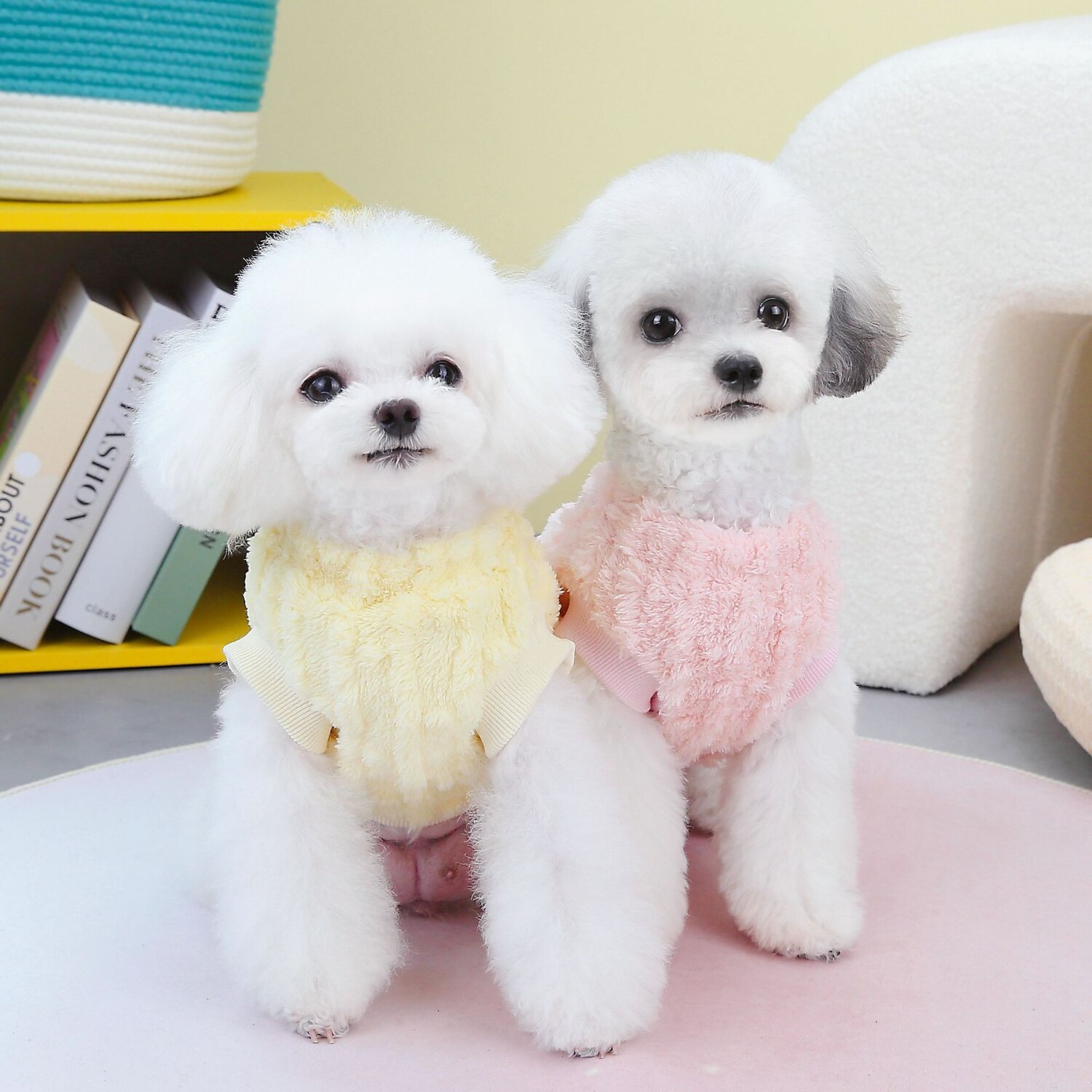 Koirat Kissat College Muoti Vapaa-aika Talvi Hengittävä Pehmeä Pestävä Mukava Sänky Rento / arki Koiran vaatteet for Pomeranian Pienelle lemmikille papillon Small 2025 - $21.99 –P1