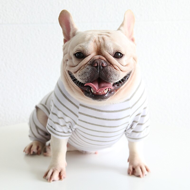 Hunde Katzen Pyjamas Modisch Kuschelig Winter Weich Waschbar Komfortabel Innen Casual Hundebekleidung for Bichon Frise Pudel Spitz kleines Haustier Schmetterling 2025 - $26.99 –P11