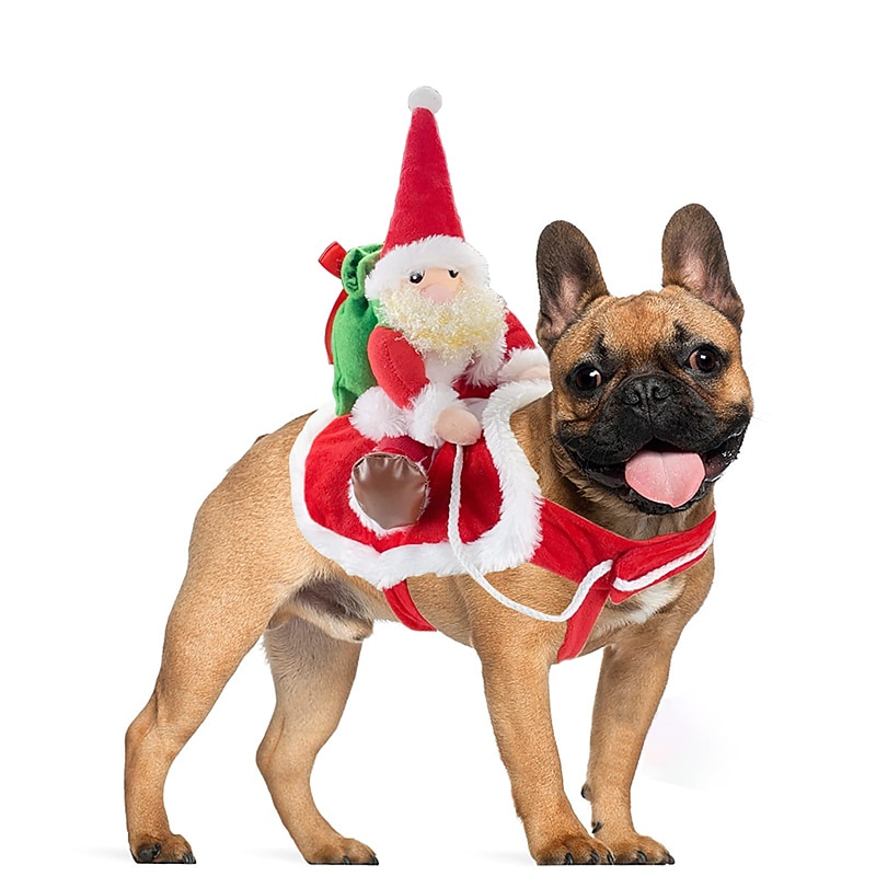 Dog Christmas Outfit Transforming Into Halloween Santa Claus In A Smart Outfit Funny Cute Personalized And Comfortable 2025 - $17.49 –P2