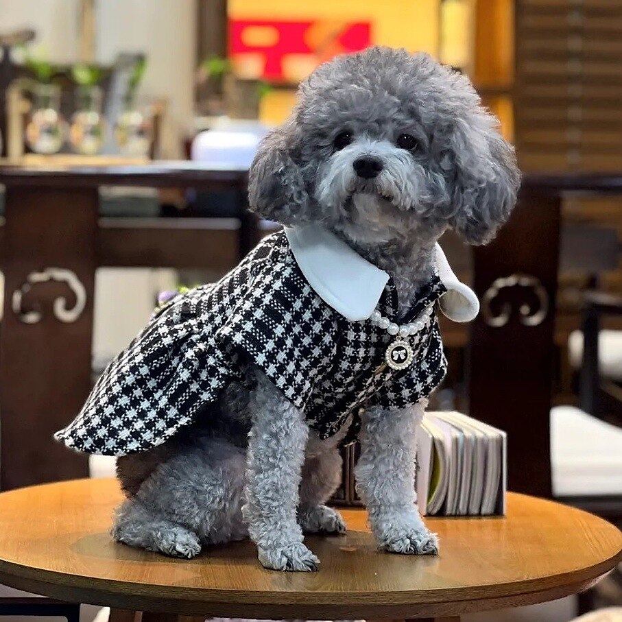 Câini Pisici Rochii Modă Drăguţ Iarnă Απαλό Lavabil Comfortabil În aer liber Petrecere Îmbrăcăminte pentru câini for Bichon Frise Pudel Pomeran un Animalut Fluture 2025 - $30.99 –P6