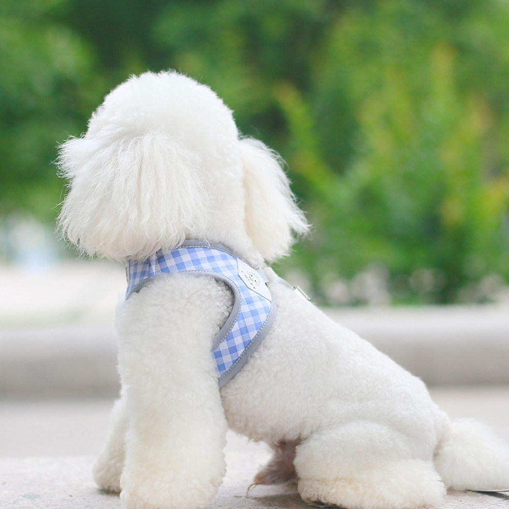 Perros Gatos Bozales Correa de entrenamiento Ajustable Portátil Duradero Exterior Paseo Plaid 2026 - $19.99 –P2
