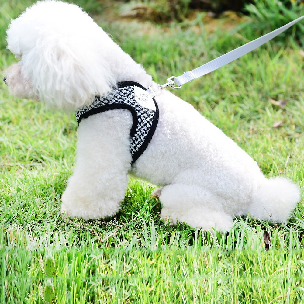 Cachorros Gatos Arreios Trela de treinamento Ajustável Portátil Durável Ao ar livre Caminhada de 2025 por $19.99 –P7