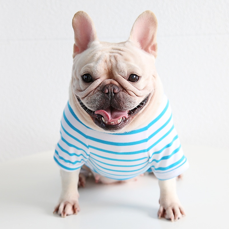 Hunde Katzen Pyjamas Modisch Kuschelig Winter Weich Waschbar Komfortabel Innen Casual Hundebekleidung for Bichon Frise Pudel Spitz kleines Haustier Schmetterling 2025 - $26.99 –P20