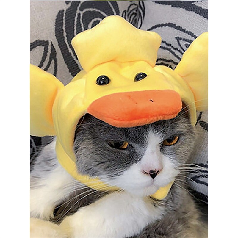 Câini Pisici Bandană Câine & Căciulă Câine Petrecere Amuzant Iarnă Respirabil Απαλό Lavabil Comfortabil Petrecere Halloween Casul / Zilnic Festival Îmbrăcăminte pentru câini for Bichon Frise Pomeran 2025 - $18.99 –P4