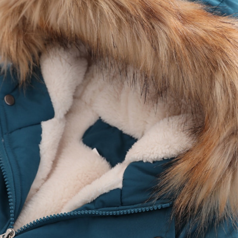 Kids Boys' Fleece Jacket Hoodie Jacket Outerwear Solid Color Long Sleeve Zipper Coat Outdoor Cotton Adorable Daily Yellow Pink Navy Blue Spring Fall 7-13 Years 2025 - $37.99 –P17
