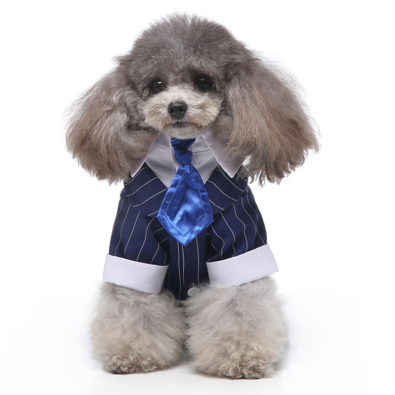Dog Cat Suit Fashion Cute Winter Soft Washable Comfortable Wedding Outdoor Party Birthday Wedding Party Dog Clothing for Bichon Frise Poodle Pomeranian Baby Pet Papillon 2025 - $26.99 –P15