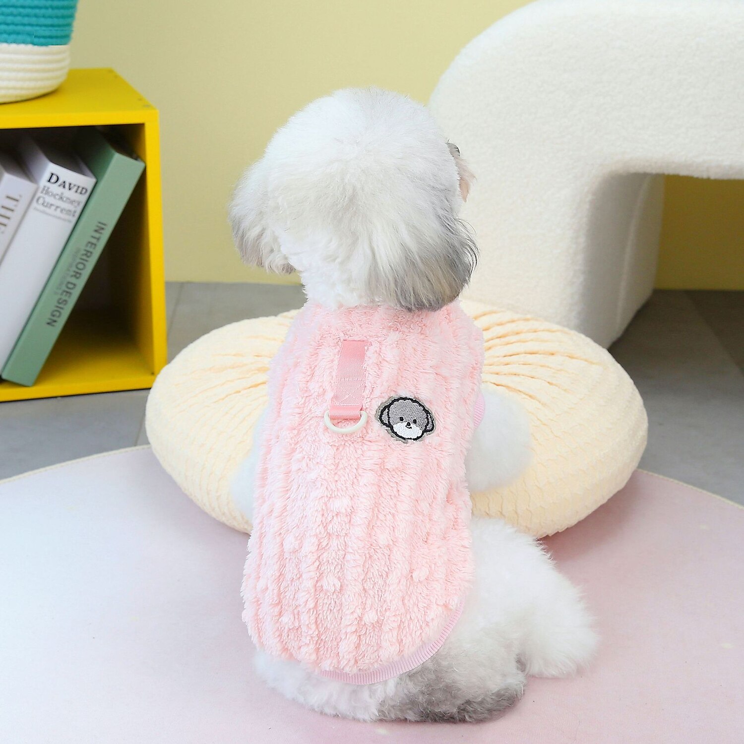 Koirat Kissat College Muoti Vapaa-aika Talvi Hengittävä Pehmeä Pestävä Mukava Sänky Rento / arki Koiran vaatteet for Pomeranian Pienelle lemmikille papillon Small 2025 - $21.99 –P7
