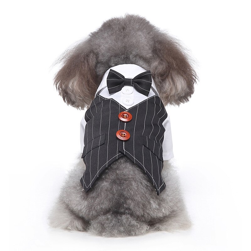 Dog Cat Suit Fashion Cute Winter Soft Washable Comfortable Wedding Outdoor Party Birthday Wedding Party Dog Clothing for Bichon Frise Poodle Pomeranian Baby Pet Papillon 2025 - $26.99 –P9