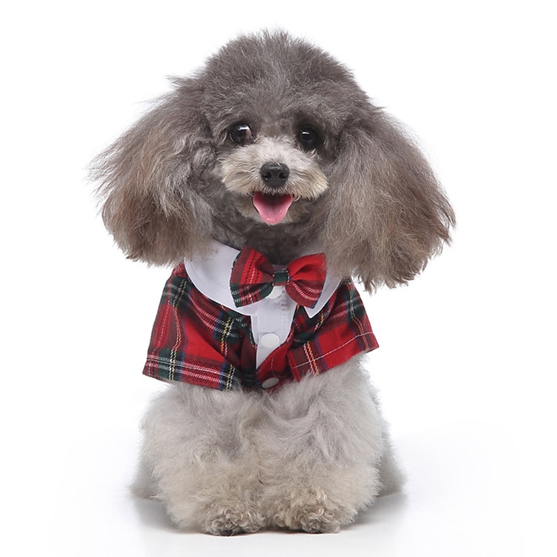 Dog Cat Suit Fashion Cute Winter Soft Washable Comfortable Wedding Outdoor Party Birthday Wedding Party Dog Clothing for Bichon Frise Poodle Pomeranian Baby Pet Papillon 2025 - $26.99 –P11