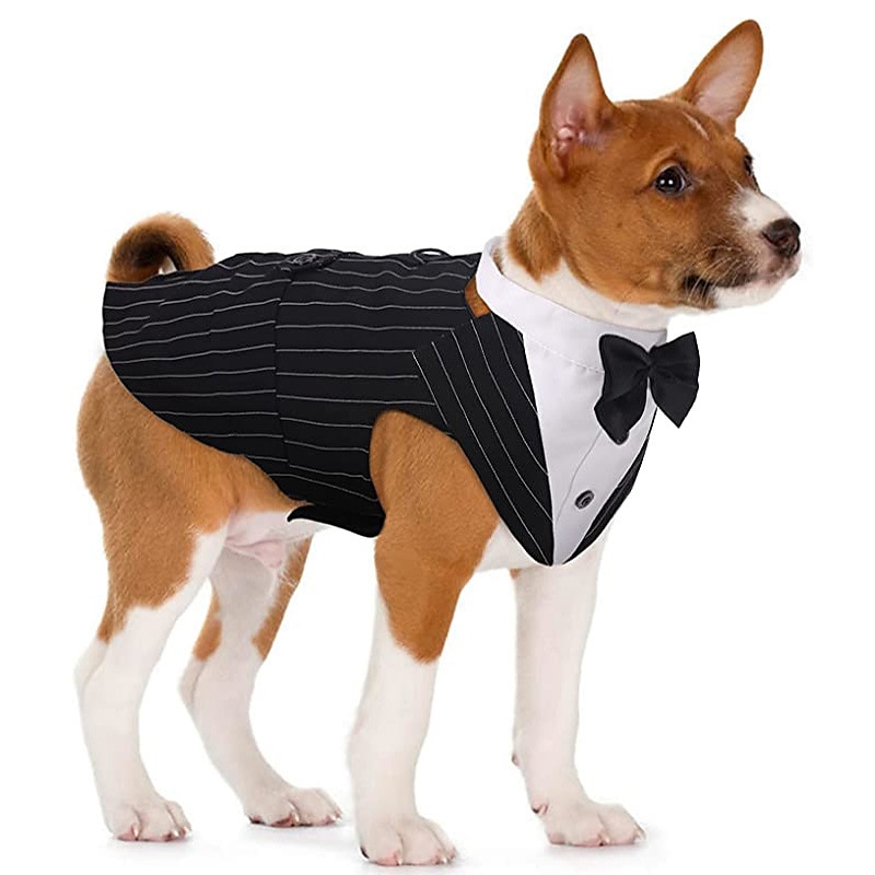 Prodotti per cani Prodotti per gatti Tuta Di tendenza stile sveglio Inverno Morbido Lavabile Comodo Matrimonio Esterno Feste Ricevimento di matrimonio Festival Abbigliamento per cani for Bichon Frise del 2025 a $29.99 –P5