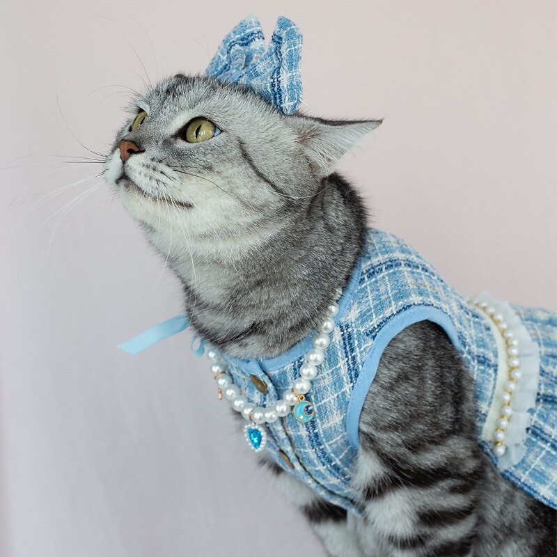 Dog Cat Dress Fashion Cute Winter Soft Washable Comfortable Outdoor Party Dog Clothing for Bichon Frise Poodle Pomeranian Baby Pet Papillon 2025 - $23.99 –P7