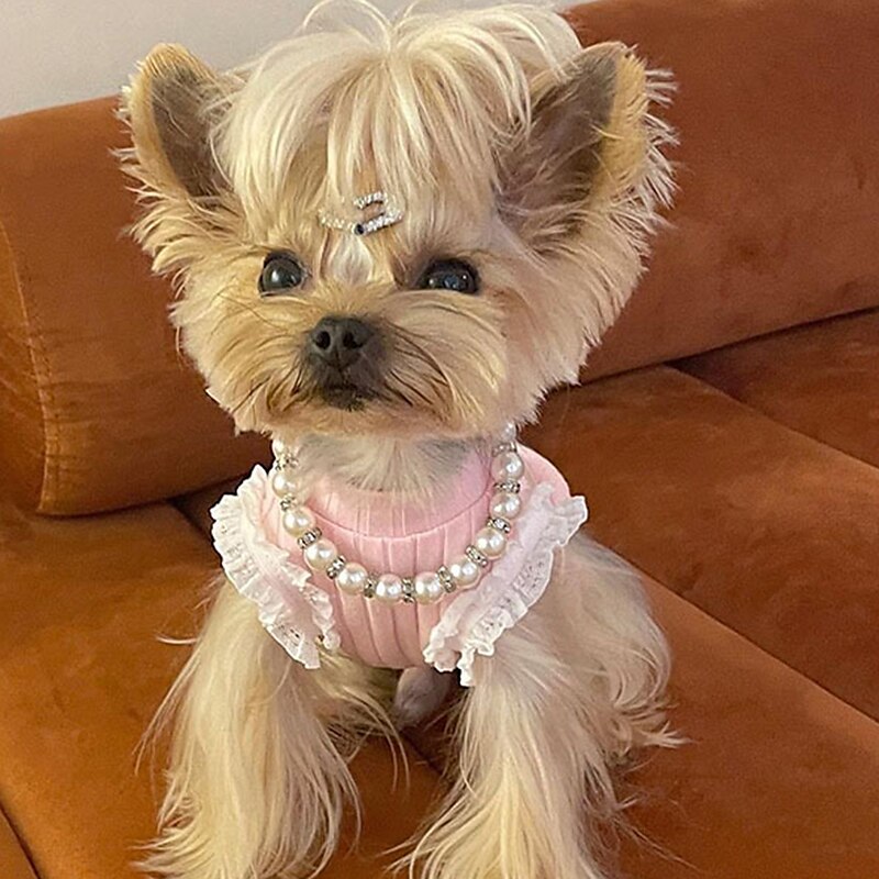 Pink Sugar Bead Collar – Hypnotic Dog