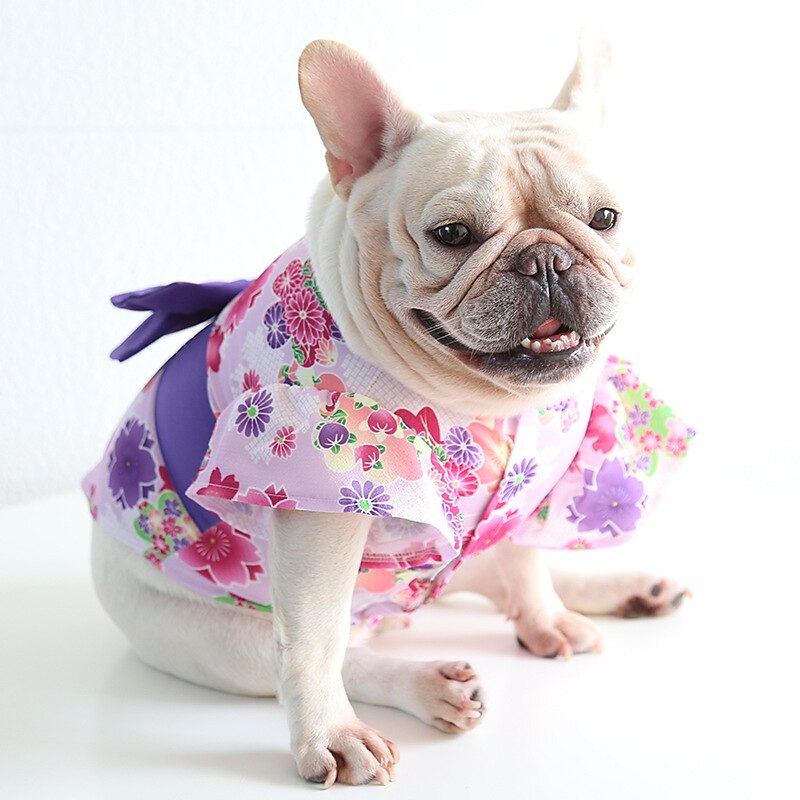 Cane Gatto Vestito Moda Carino Inverno Morbido Lavabile Confortevole All'aperto Casual Quotidiano Abbigliamento per Cani for Bichon Frisé Barboncino Volpino di Pomerania Cucciolo Papillon del 2025 a AU $39.59 –P9