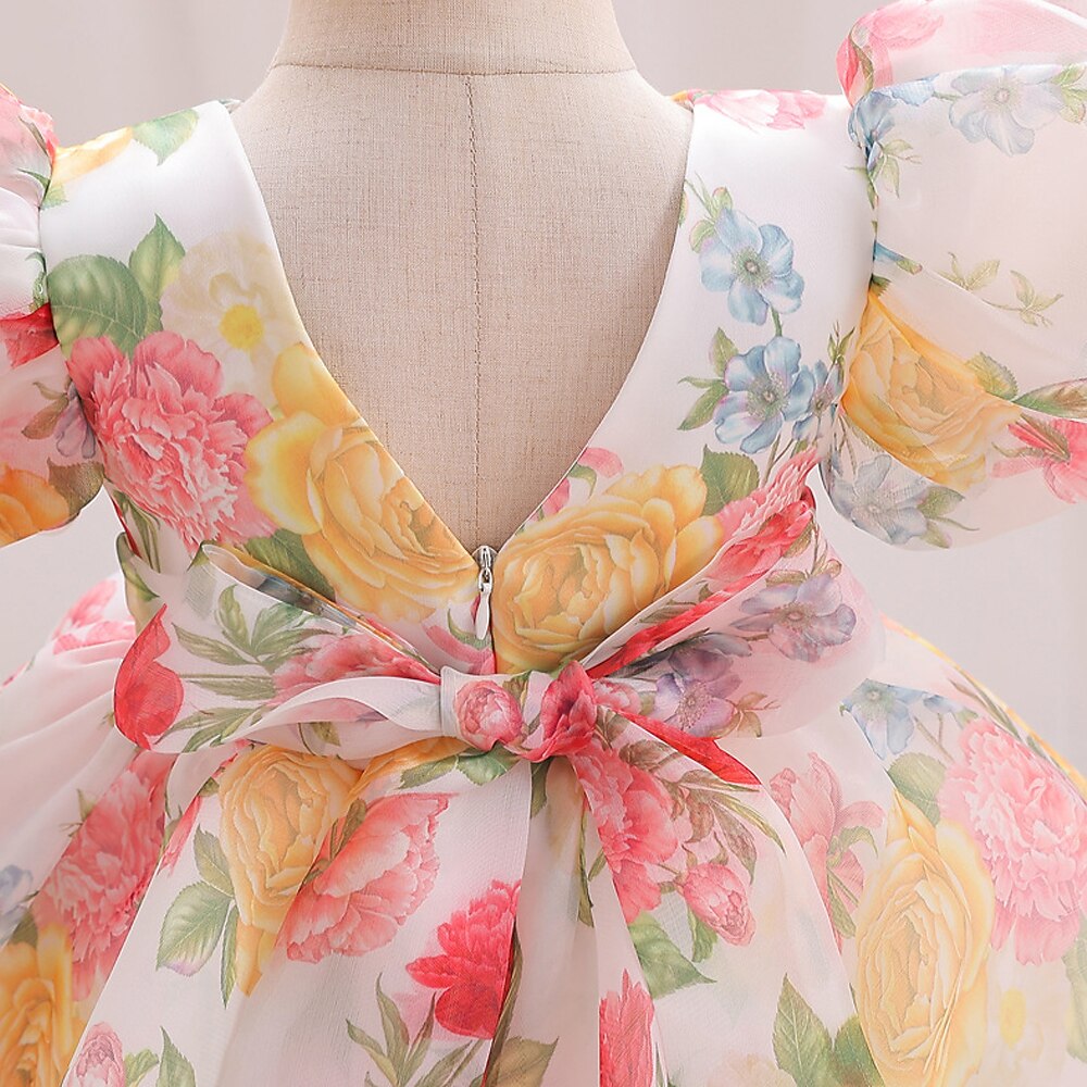 Tout-petit Fille Robe de Soirée Graphique Manche Courte Mariage Mignon Polyester Mi-long Été 3-7 Ans Multicouleur Rouge Vert de 2025 ? $38.99 –P9