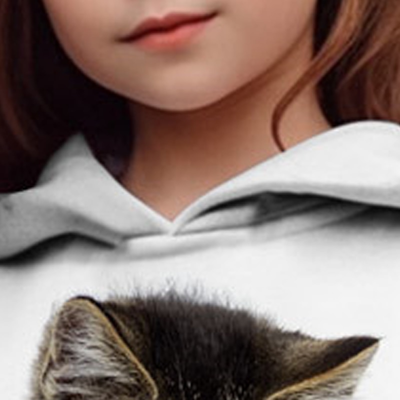 Fille 3D Chat Sweat à capuche Pullover manche longue 3D effet Automne Hiver Actif Mode Le style mignon Polyester Enfants 3-12 ans Extérieur Casual du quotidien Standard de 2025 ? $18.99 –P6
