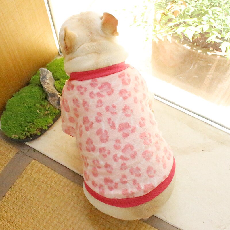Hund Katt Tröja Pyjamas Mode söt stil Vinter Varm Mjuk Tvättbar Bekväm Utomhus Inomhus Ledigt / vardag Hundkläder for Bichon Frisé Pudel Pommeran valpen eller det lilla husdjuret Fjäril 2025 - $23.99 –P8