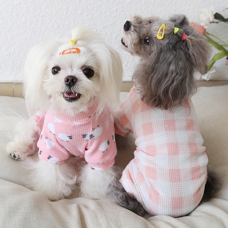 Hund Katt Pyjamas Mode söt stil Vinter Mjuk Tvättbar Bekväm Inomhus Ledigt / vardag Hundkläder for Bichon Frisé Pudel Pommeran valpen eller det lilla husdjuret Fjäril 2025 - $26.99 –P1