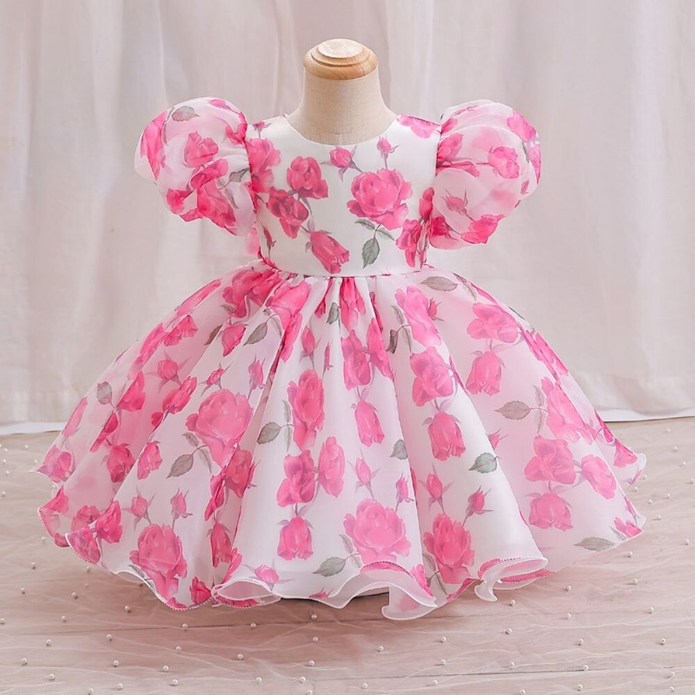 Tout-petit Fille Robe de Soirée Graphique Manche Courte Mariage Mignon Polyester Mi-long Été 3-7 Ans Multicouleur Rouge Vert de 2025 ? $38.99 –P3