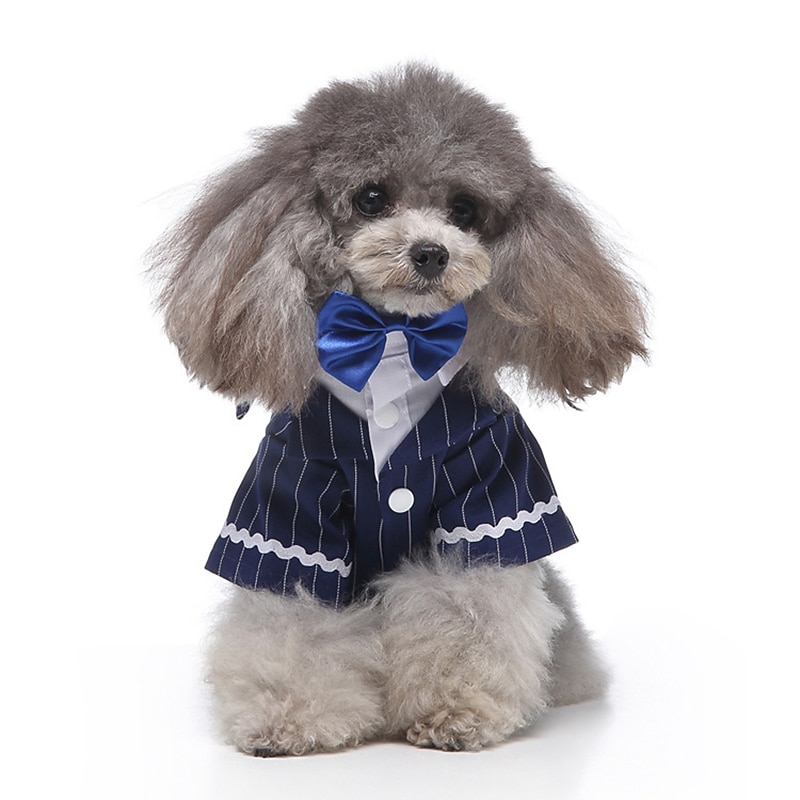 Dog Cat Suit Fashion Cute Winter Soft Washable Comfortable Wedding Outdoor Party Birthday Wedding Party Dog Clothing for Bichon Frise Poodle Pomeranian Baby Pet Papillon 2025 - $26.99 –P17