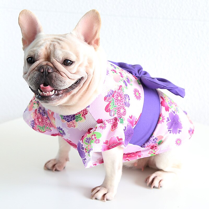 Cane Gatto Vestito Moda Carino Inverno Morbido Lavabile Confortevole All'aperto Casual Quotidiano Abbigliamento per Cani for Bichon Frisé Barboncino Volpino di Pomerania Cucciolo Papillon del 2025 a AU $39.59 –P10