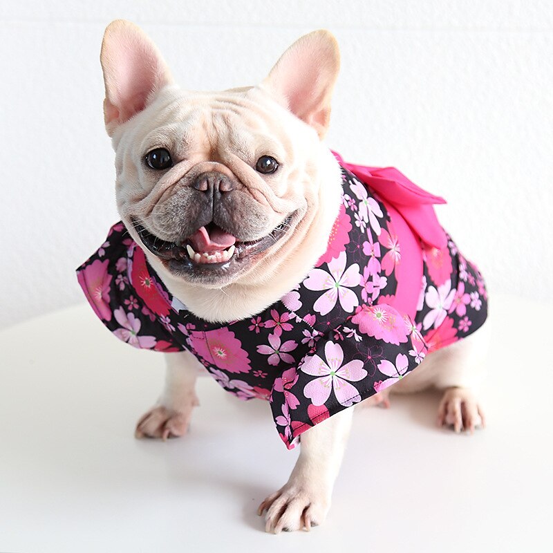 Cane Gatto Vestito Moda Carino Inverno Morbido Lavabile Confortevole All'aperto Casual Quotidiano Abbigliamento per Cani for Bichon Frisé Barboncino Volpino di Pomerania Cucciolo Papillon del 2025 a AU $39.59 –P13