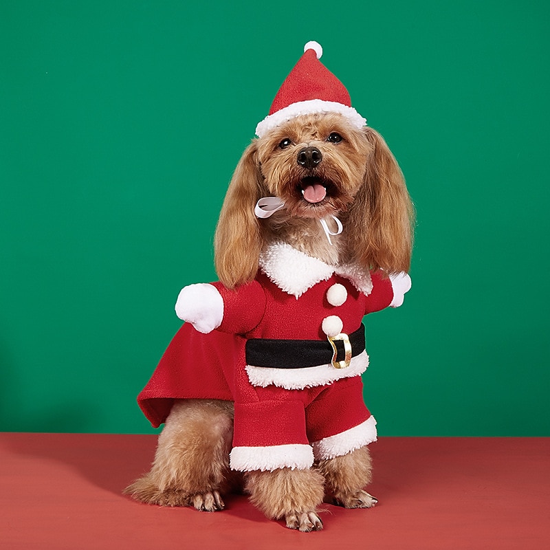 Prodotti per cani Prodotti per gatti Costume di Natale Abito natalizio Di tendenza stile sveglio Inverno Morbido Lavabile Comodo Natale Esterno Casual / quotidiano Festival Bichon Frise Barboncino del 2025 a $13.99 –P1