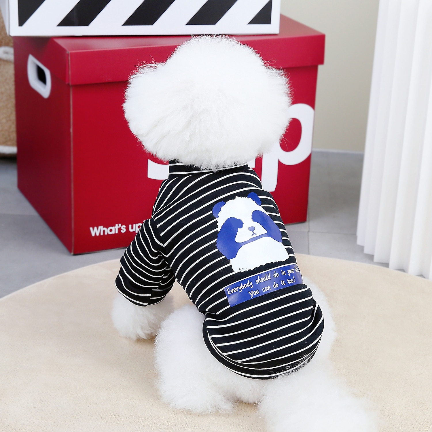 Câini Pisici Hanorca Drăguţ Casual Iarnă Respirabil Απαλό Lavabil Comfortabil În aer liber Casul / Zilnic Îmbrăcăminte pentru câini for Bichon Frise Pomeran un Animalut Fluture Small 2025 - $23.99 –P5
