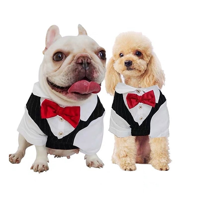 Prodotti per cani Prodotti per gatti Tuta Di tendenza stile sveglio Inverno Morbido Lavabile Comodo Matrimonio Esterno Feste Compleanno Ricevimento di matrimonio Abbigliamento per cani for Bichon del 2026 a $31.99 –P1