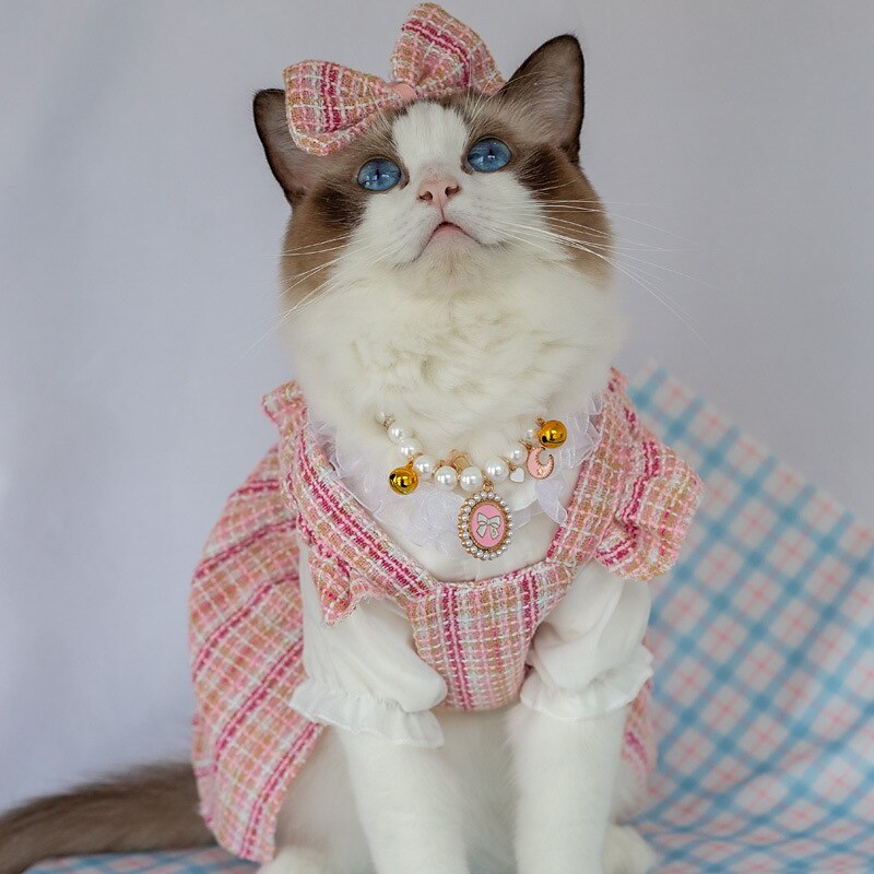 Cachorros Gatos Vestidos Camisetas Moda Estilo bonito Inverno Macio Lavável Confortável Ao ar livre Festa Casual / Diário Roupas para cães for Bichon Frise Poodle Pomerânia Animais de Pequeno Porte de 2025 por $27.99 –P4