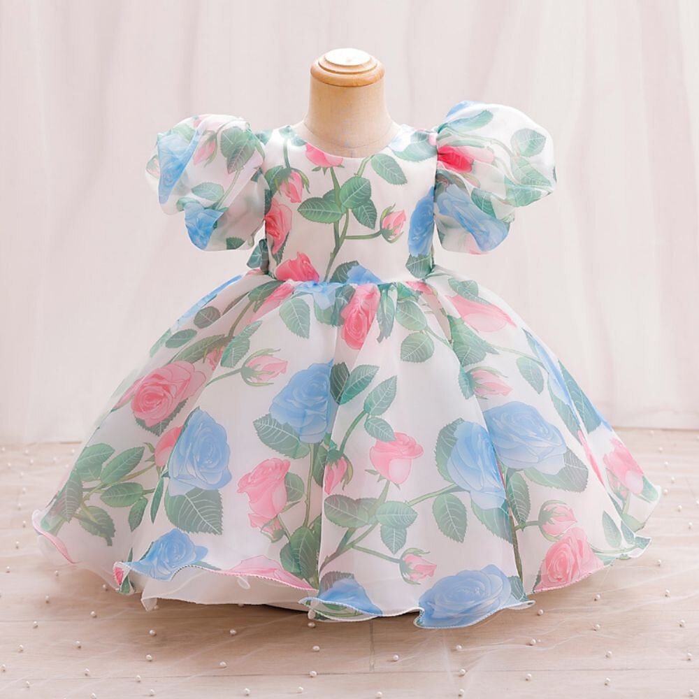 Tout-petit Fille Robe de Soirée Graphique Manche Courte Mariage Mignon Polyester Mi-long Été 3-7 Ans Multicouleur Rouge Vert de 2025 ? $38.99 –P1