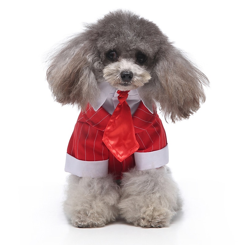 Dog Cat Suit Fashion Cute Winter Soft Washable Comfortable Wedding Outdoor Party Birthday Wedding Party Dog Clothing for Bichon Frise Poodle Pomeranian Baby Pet Papillon 2025 - $26.99 –P14