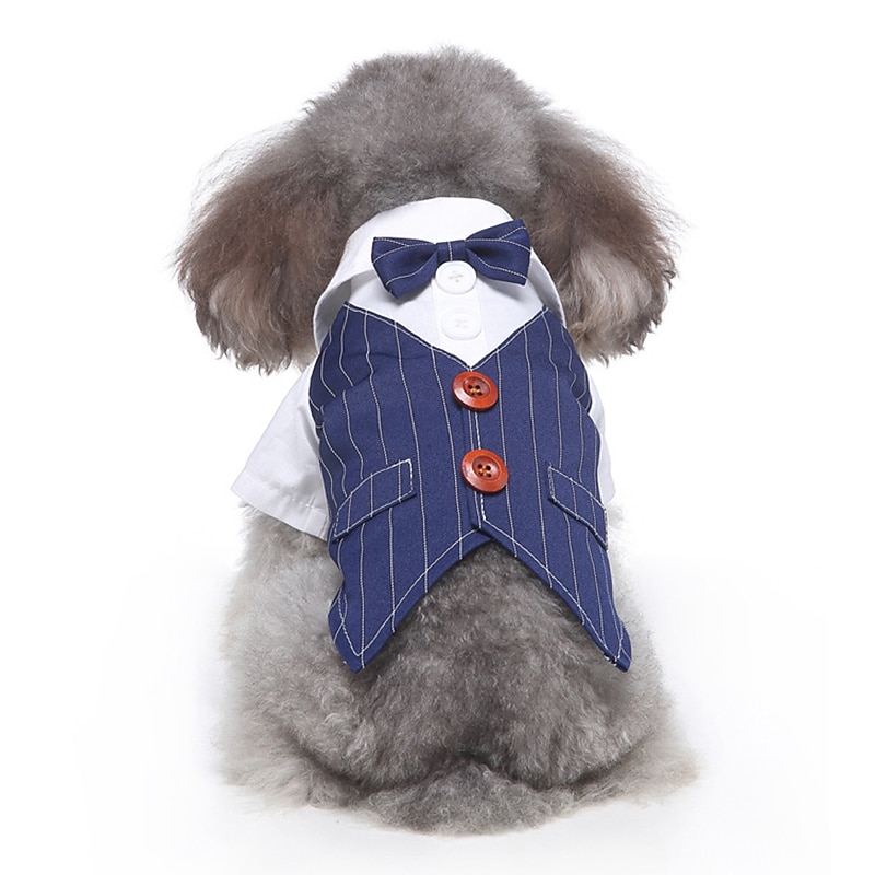 Dog Cat Suit Fashion Cute Winter Soft Washable Comfortable Wedding Outdoor Party Birthday Wedding Party Dog Clothing for Bichon Frise Poodle Pomeranian Baby Pet Papillon 2025 - $26.99 –P8