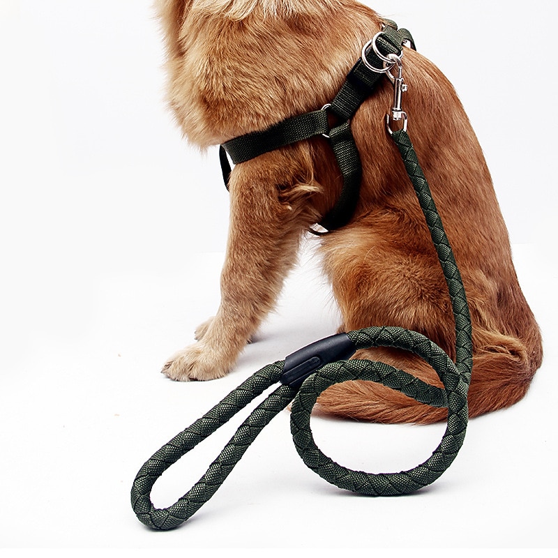 Dogs Chain With Rope PP Ribbon Woven Round Dog Rope Dog Chest Strap Traction Rope Dog Rope ...