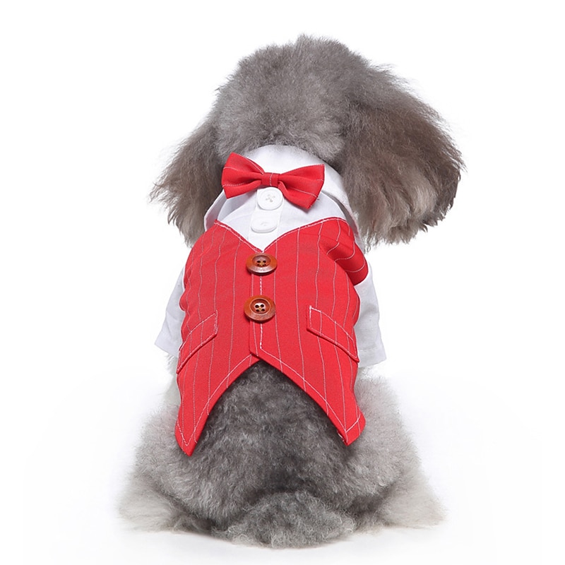 Dog Cat Suit Fashion Cute Winter Soft Washable Comfortable Wedding Outdoor Party Birthday Wedding Party Dog Clothing for Bichon Frise Poodle Pomeranian Baby Pet Papillon 2025 - $26.99 –P10