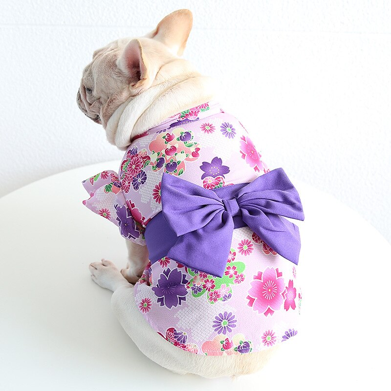 Cane Gatto Vestito Moda Carino Inverno Morbido Lavabile Confortevole All'aperto Casual Quotidiano Abbigliamento per Cani for Bichon Frisé Barboncino Volpino di Pomerania Cucciolo Papillon del 2025 a AU $39.59 –P12