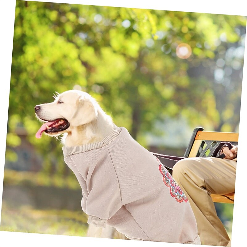 Câini Pisici Hanorca Modă Casual Iarnă Cald Respirabil Απαλό Lavabil Comfortabil În aer liber Casul / Zilnic Îmbrăcăminte pentru câini for Bichon Frise Pomeran un Animalut Fluture Small 2025 - $20.99 –P4