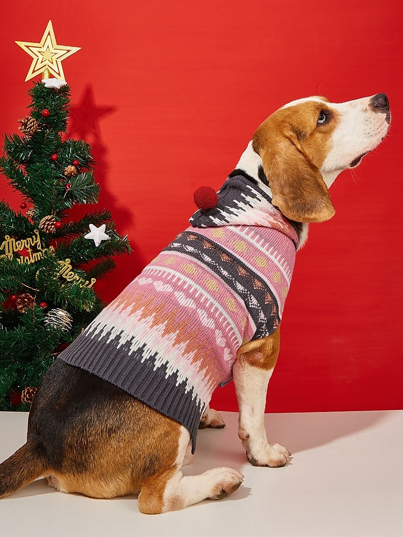 Câini Pisici Pulovere Jumper Petrecere Casual Iarnă Respirabil Απαλό Lavabil Comfortabil Crăciun În aer liber Casul / Zilnic Îmbrăcăminte pentru câini for Bichon Frise Pomeran un Animalut Fluture 2025 - $18.99 –P4